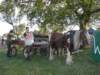 horsedrawnsupplies_small.jpg