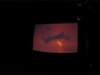 shadowpuppets_small.jpg