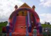 Photo Number 4