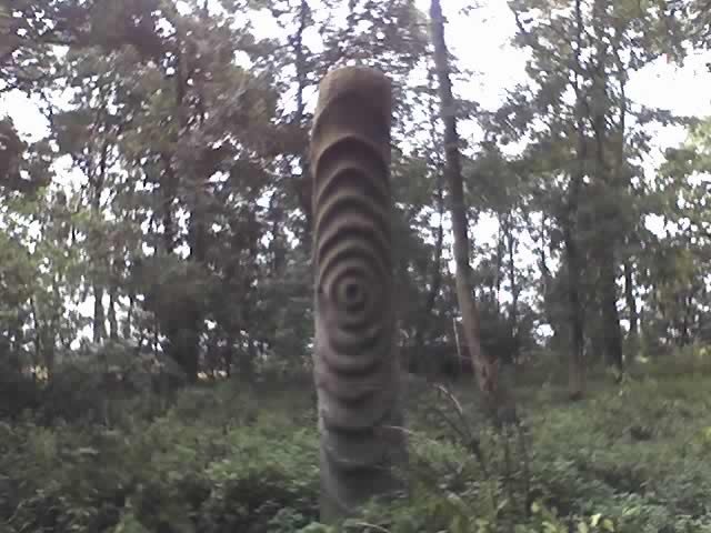 inthewoods.jpg